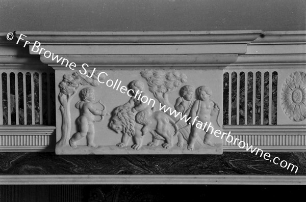 ABBEYLEIX HOUSE  FIREPLACE IN LIBRARY DETAIL